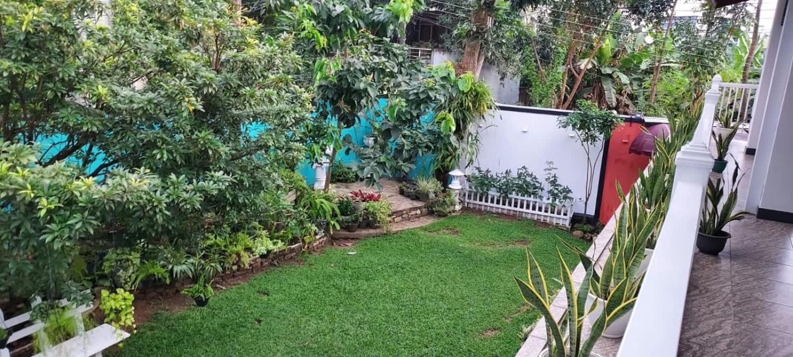 Dumi's Shelter Home Stay Colombo Exterior foto